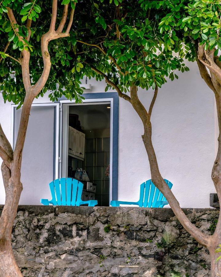 City Center, 200 Meters To Marina, Walk To Everything, Private Yard And Garden Ponta Delgada  Luaran gambar