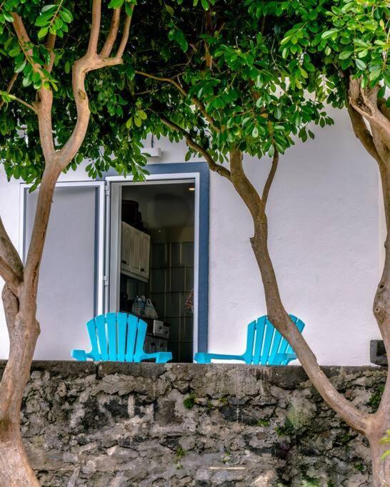 City Center, 200 Meters To Marina, Walk To Everything, Private Yard And Garden Ponta Delgada  Luaran gambar